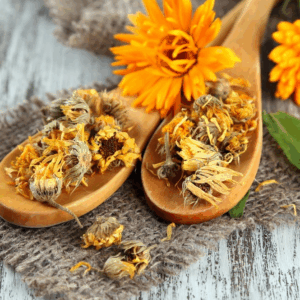 Extrait de Arnica des montagnes